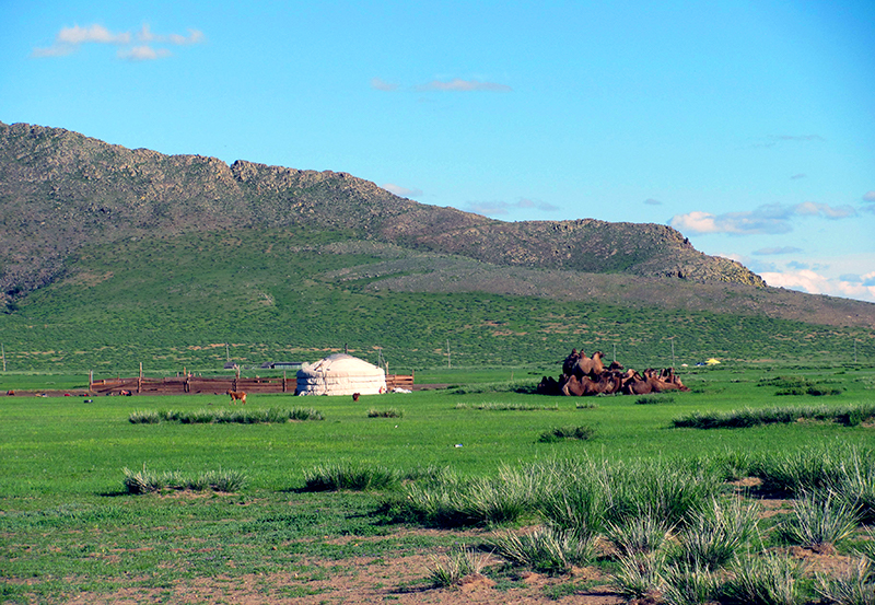 Mongolian nomad family